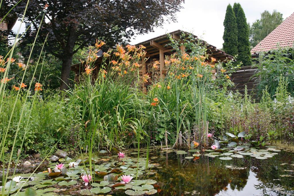 Gemuetliche Gaestezimmer In Einem Neu Sanierten Fachwerkhaus Sachsenheim Luaran gambar