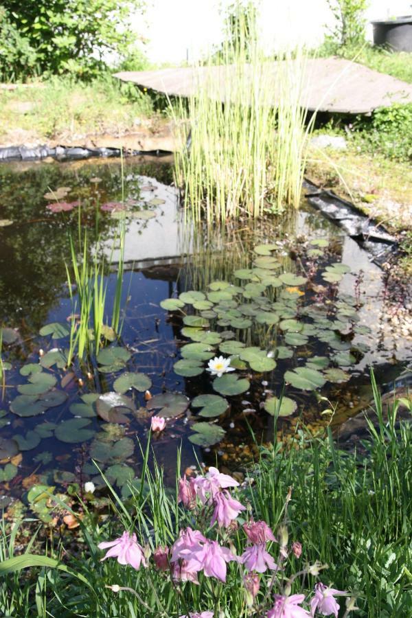 Gemuetliche Gaestezimmer In Einem Neu Sanierten Fachwerkhaus Sachsenheim Luaran gambar